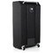 Басовий кабінет AMPEG SVT-810E :: Фото 4